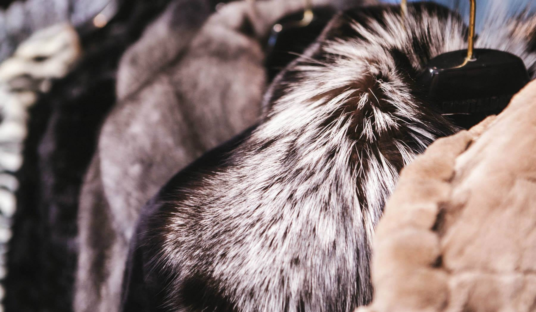 Fur Restyling Fur Restyling Glen Allen & Fredericksburg VA | Fur Redesign Service ...